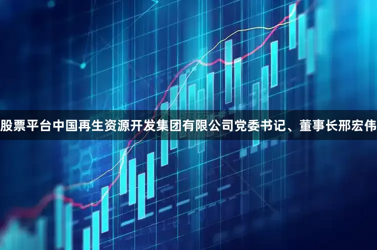 股票平台中国再生资源开发集团有限公司党委书记、董事长邢宏伟