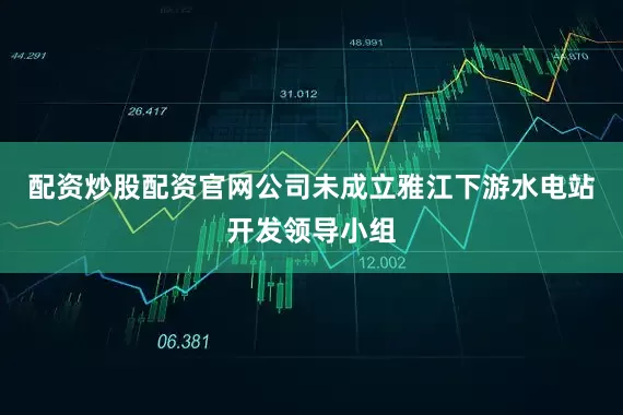 配资炒股配资官网公司未成立雅江下游水电站开发领导小组